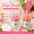 tulip bloom